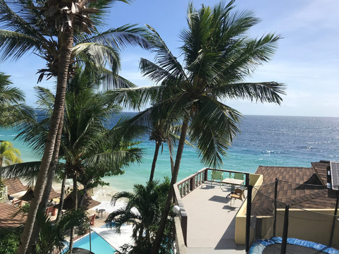 奥斯洛布野生动物园度假村主图