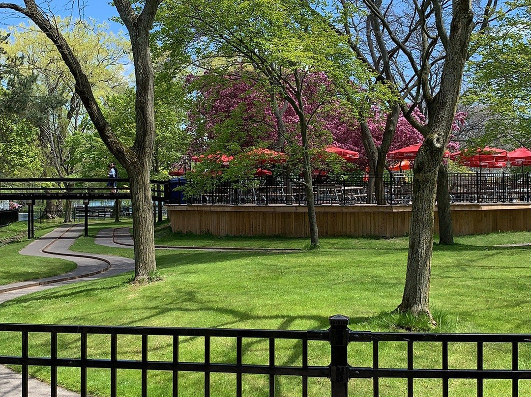 Toronto Island Bicycle Rental-多伦多必去景点