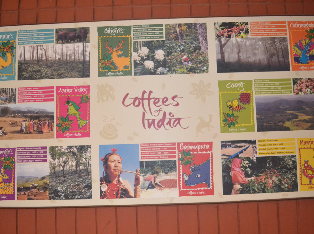 Central Coffee Research Institution景点图片