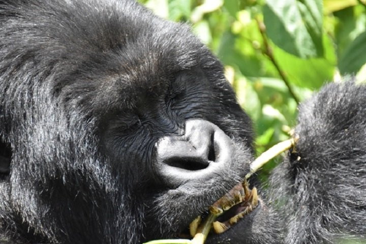 Range Land Safaris Limited-坎帕拉必去景点