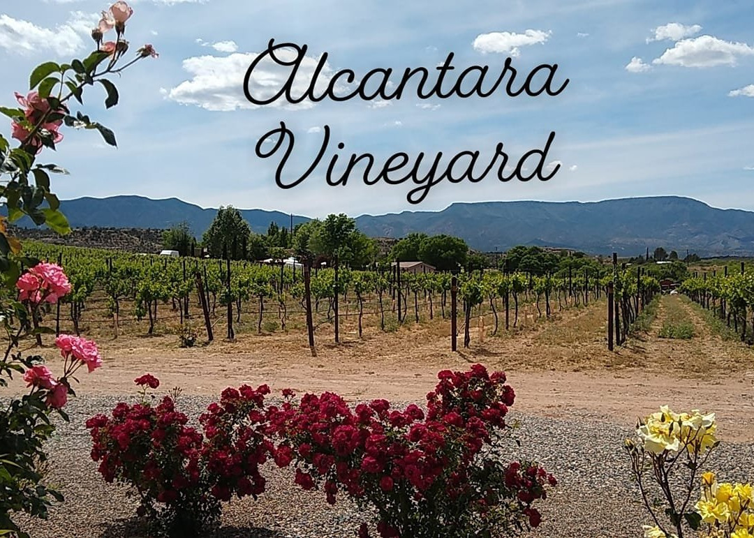 Alcantara Vineyards and Winery景点图片