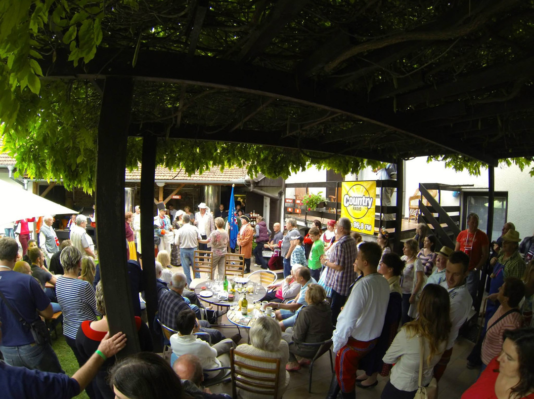 Winery Valka-Nosislav必去景点