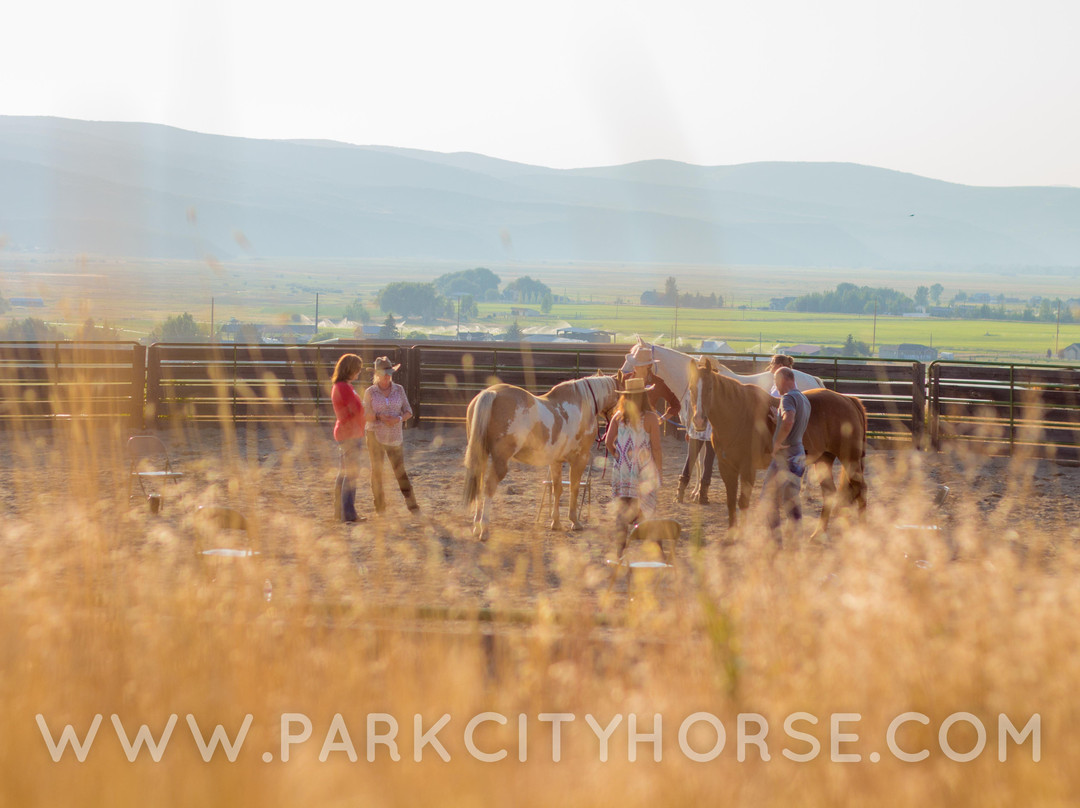 Park City Horse Experience景点图片