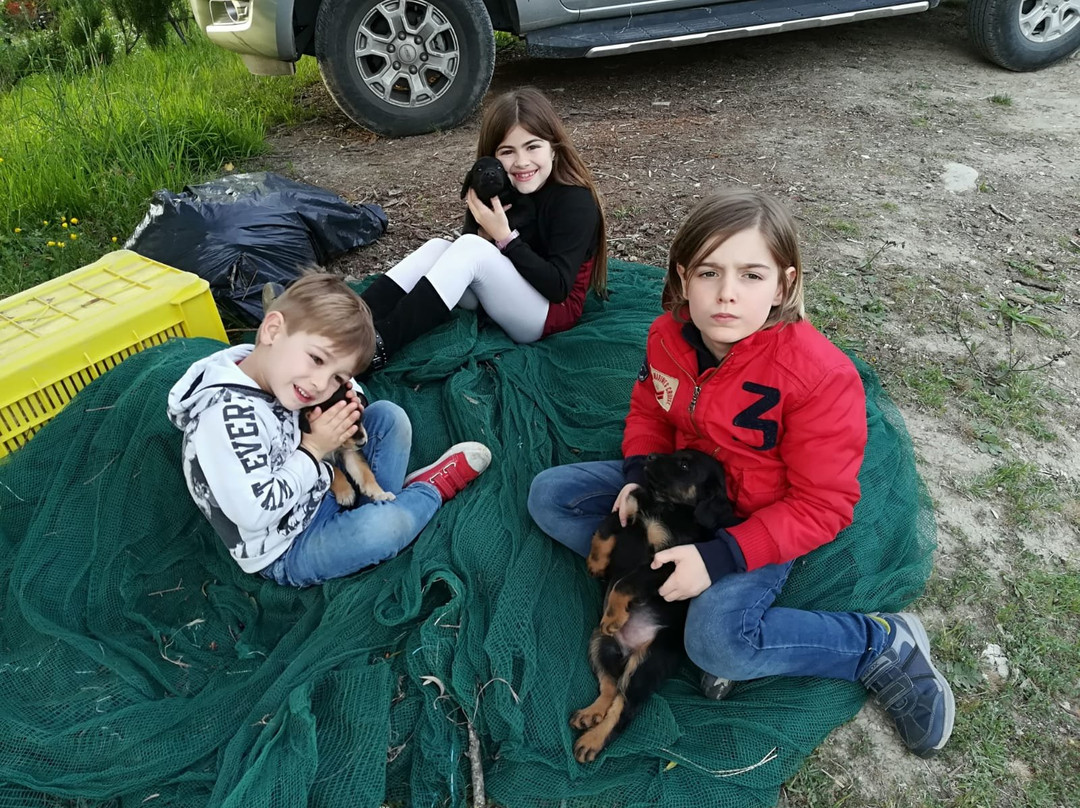 Agriturismo il Poggio degli Scoiattoli主图