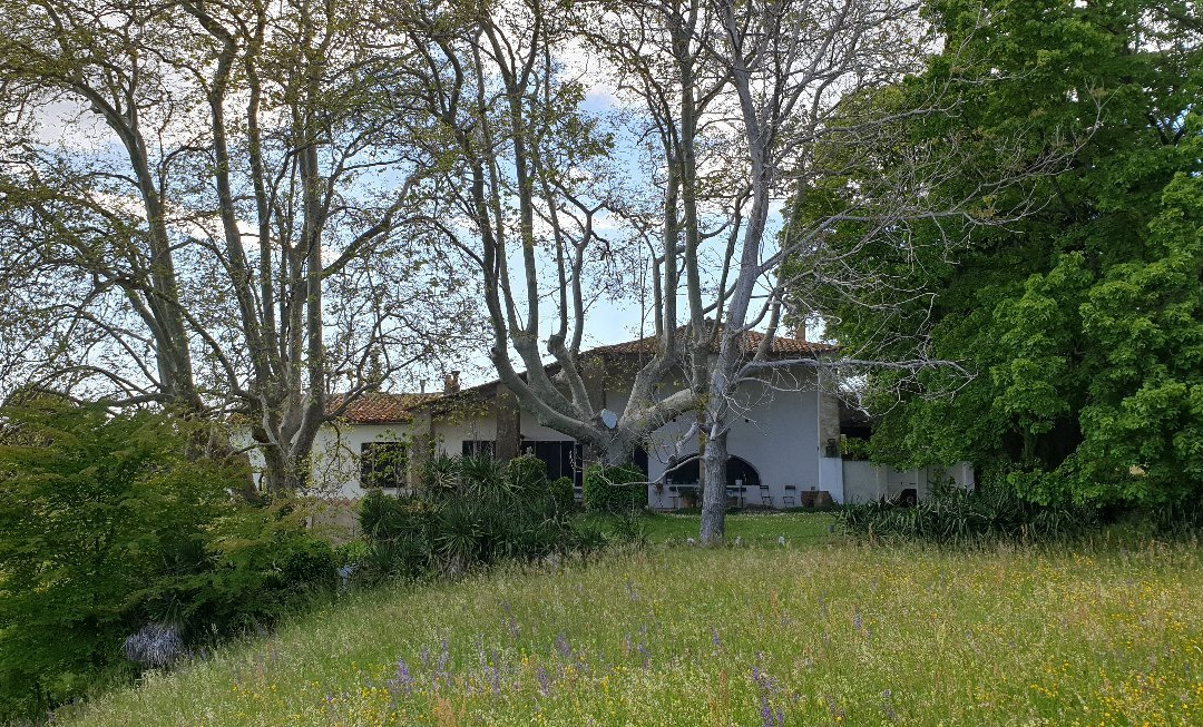 Domaine De Beauveset