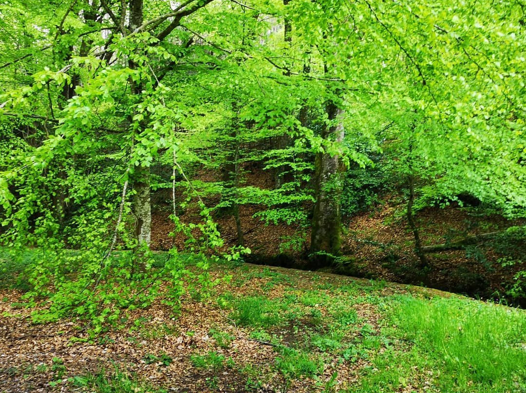 Bassin du Lampy-Saissac必去景点