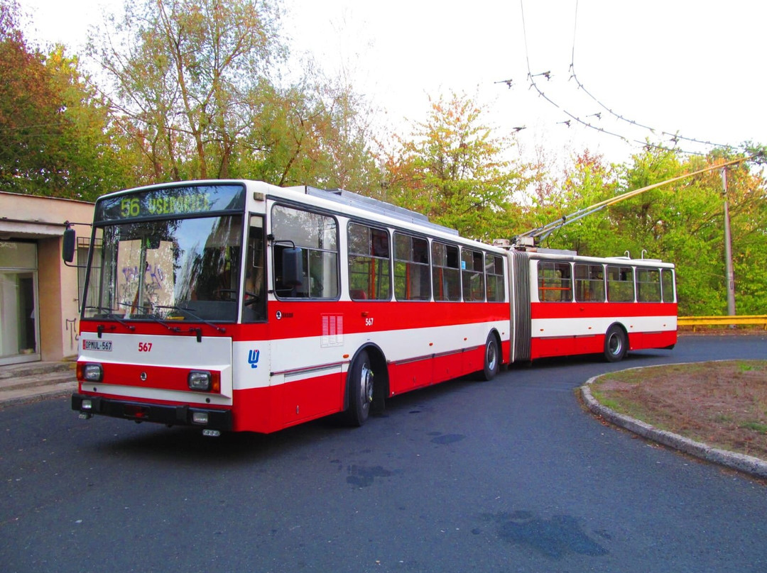 Dopravní podnik města Ústí nad Labem