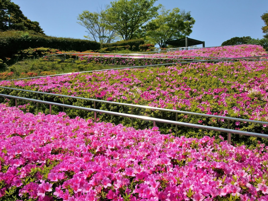 Shonan Village Center主图