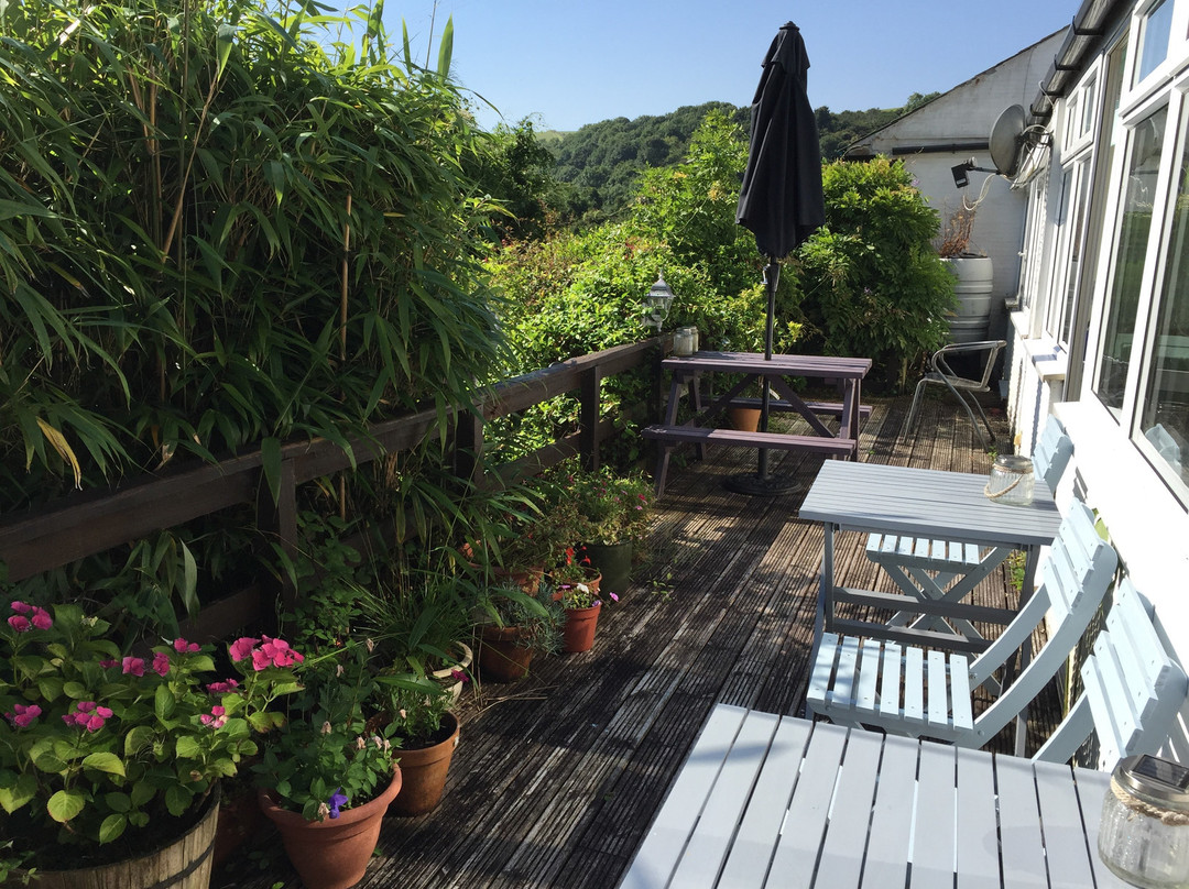 The Cottles B&B and holiday apartments主图