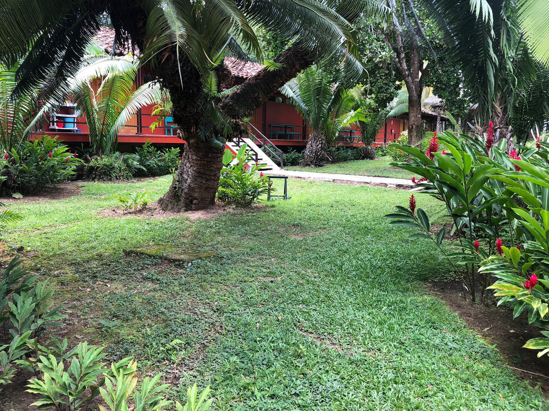 DM Hoteles Tarapoto主图