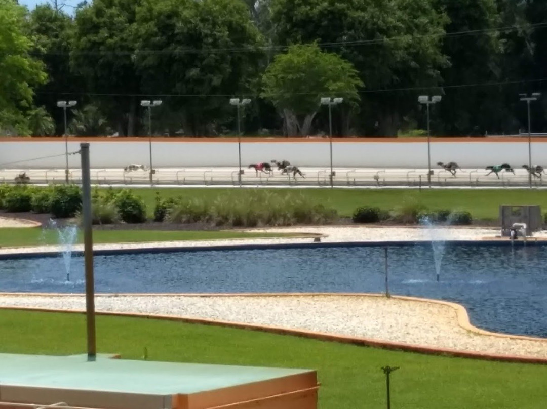 Naples Fort Myers Greyhound Track-博尼塔斯普林斯必去景点