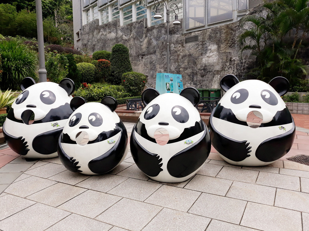澳门大熊猫馆景点图片