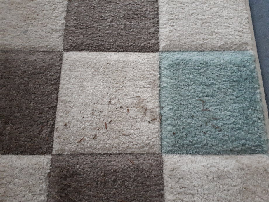 阿尔特斯祖尔翰斯酒店主图