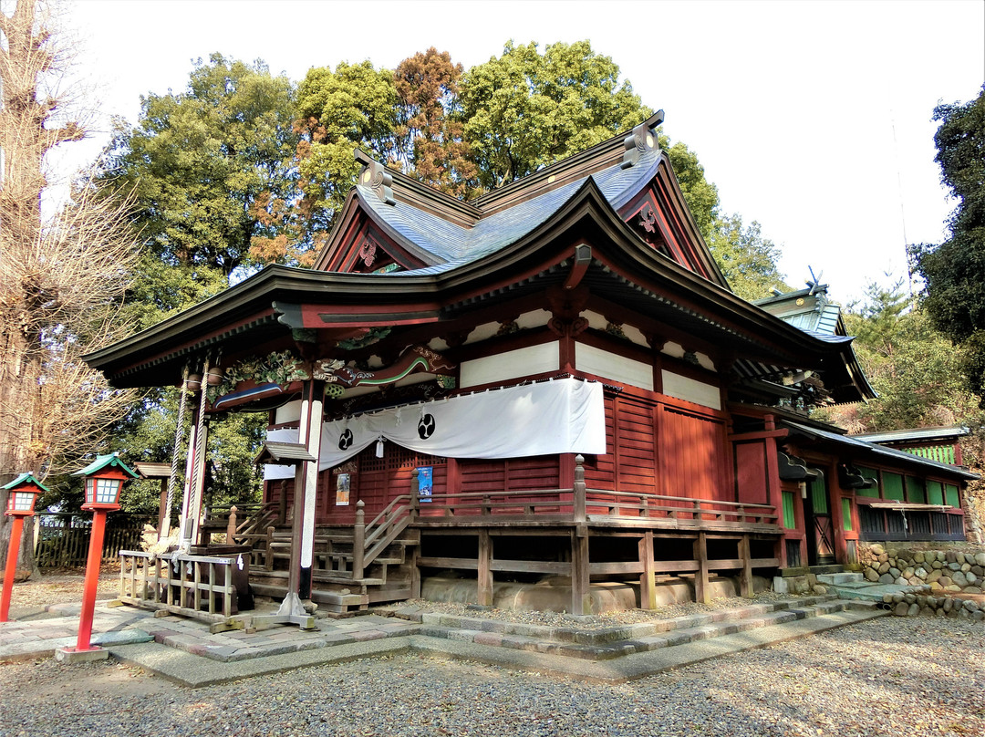 Shimonokuni Isshayawatamiya Kadotainari Shrine景点图片