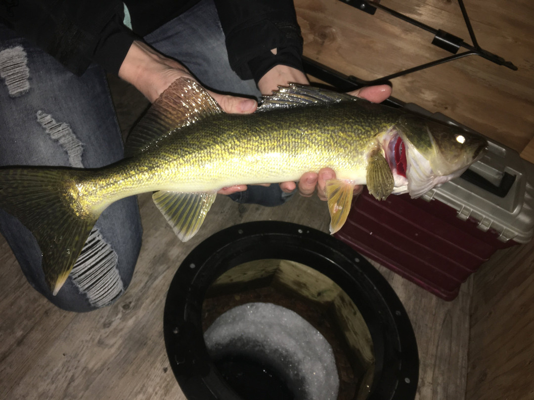 Cool Toyz-西尔万湖必去景点