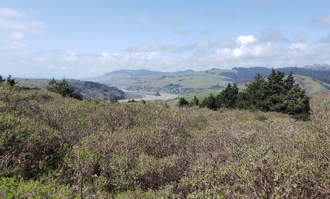 Red Hill Trail-索诺玛必去景点