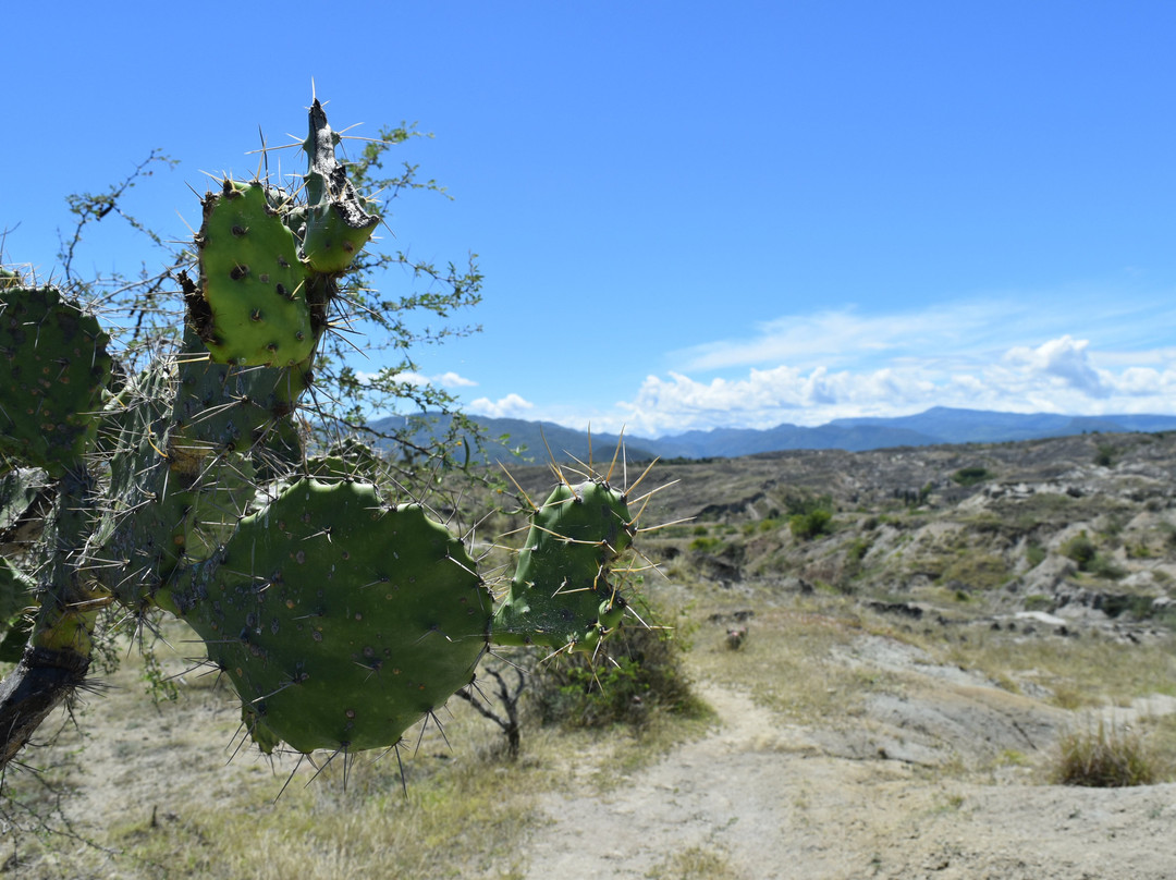 Ecoturistars-Paicol必去景点