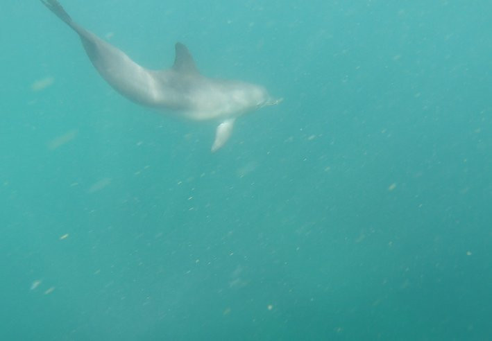 Port Stephens Paddlesports景点图片