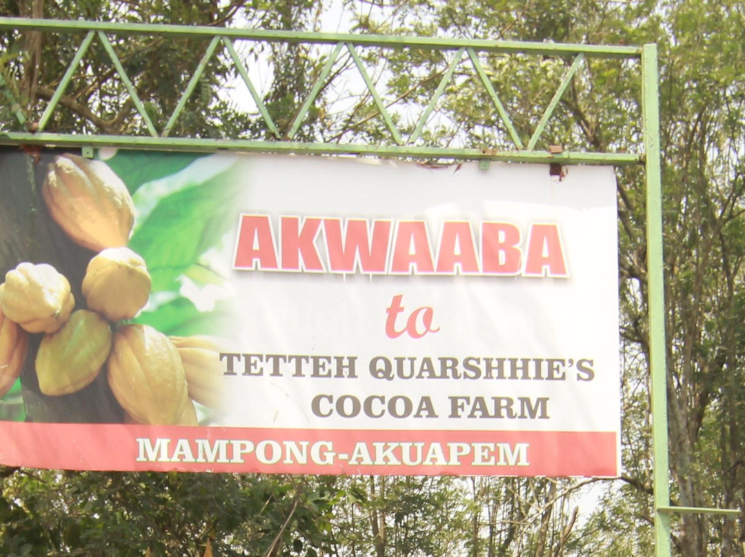 Ghana Cocoa Tours