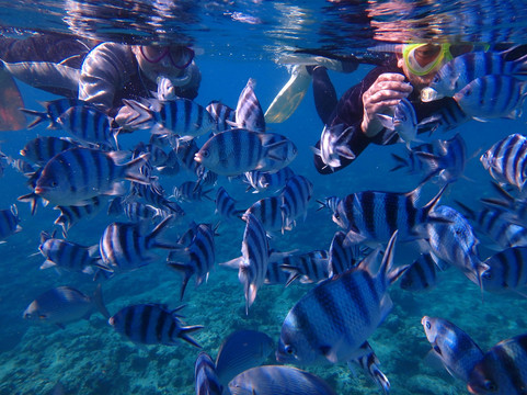 モルダイブ (MalDive)-名护市必去景点