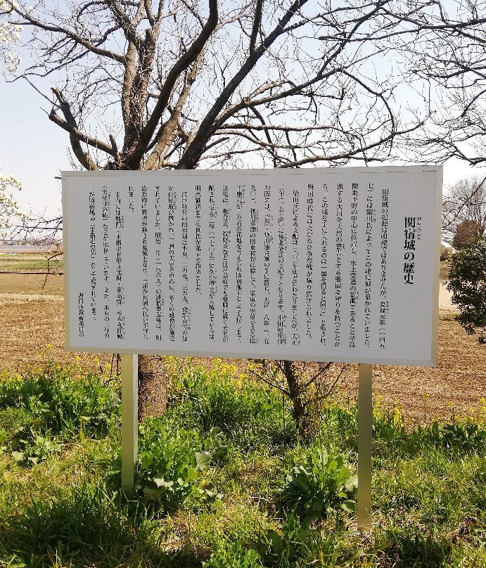 Chiba Sekiyado Castle Museum景点图片