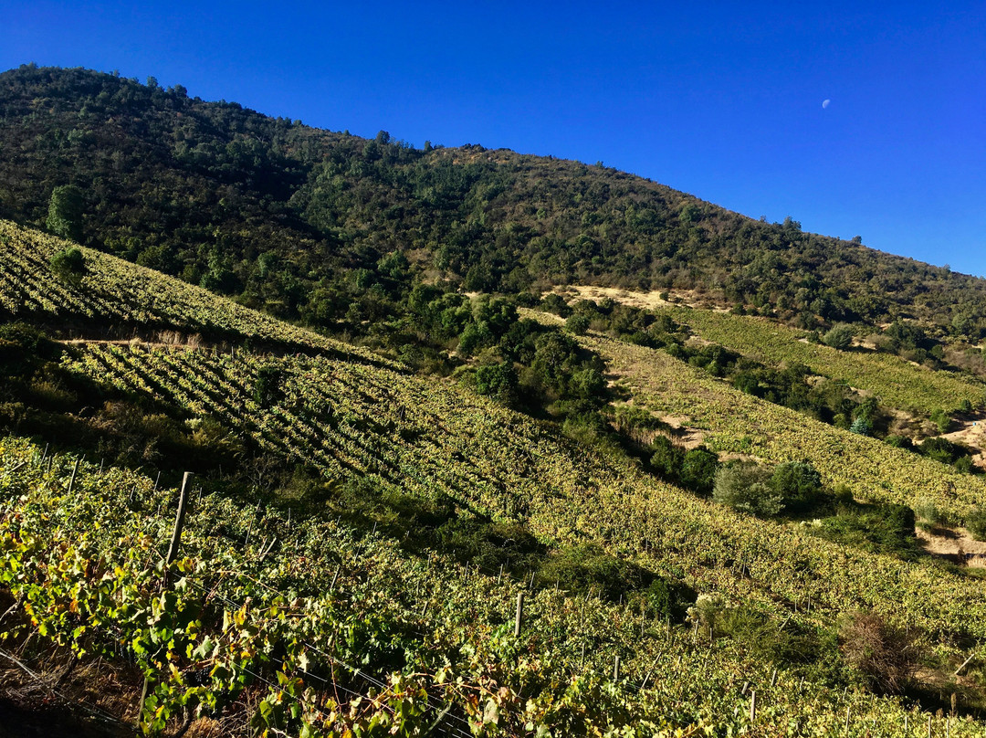 Nerkihue-Lolol必去景点