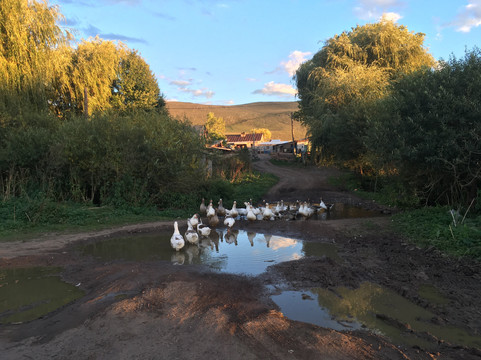 Travelist Georgia-第比利斯必去景点