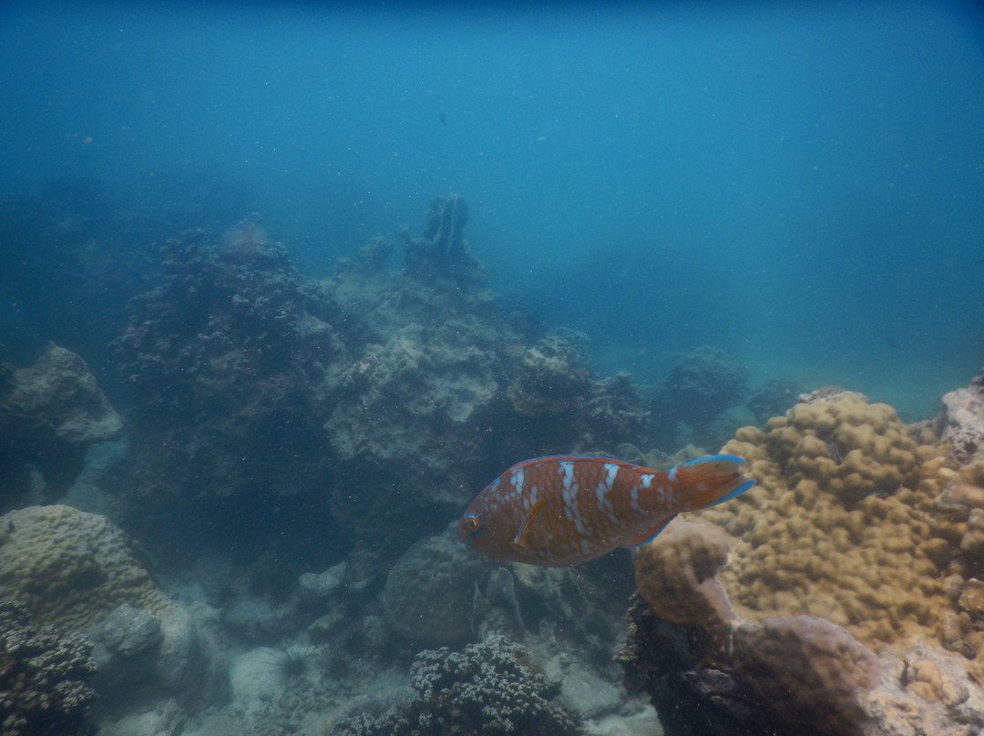 Dive Seacret-玛岛必去景点