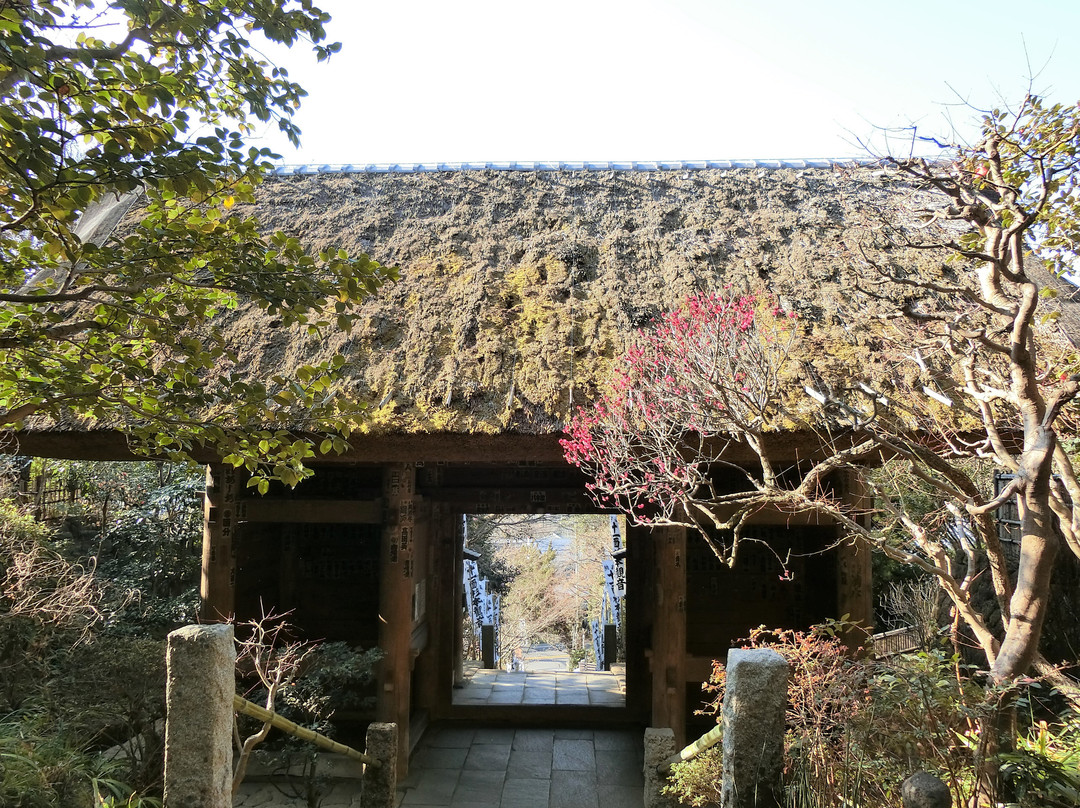 Sugimoto Temple Niomon-镰仓市必去景点