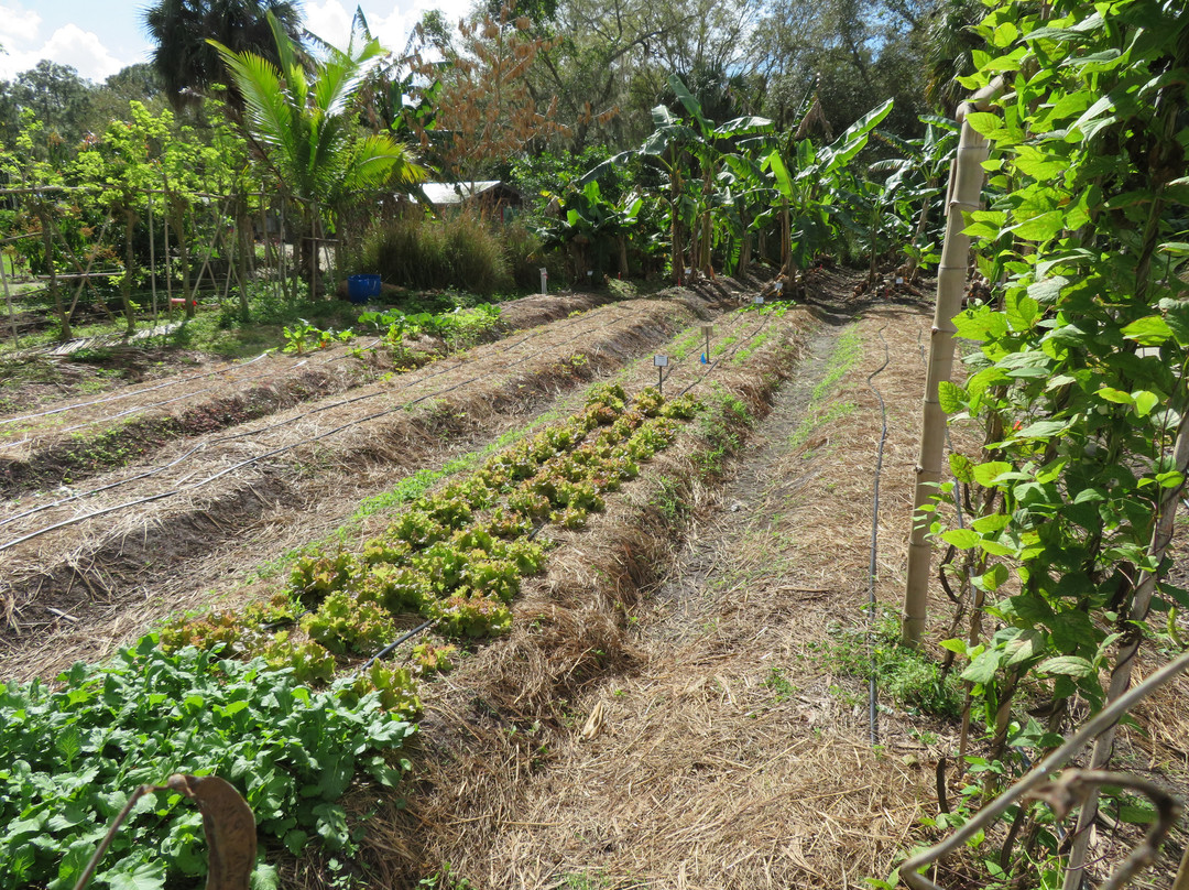 ECHO Global Farm Tours-North Fort Myers必去景点