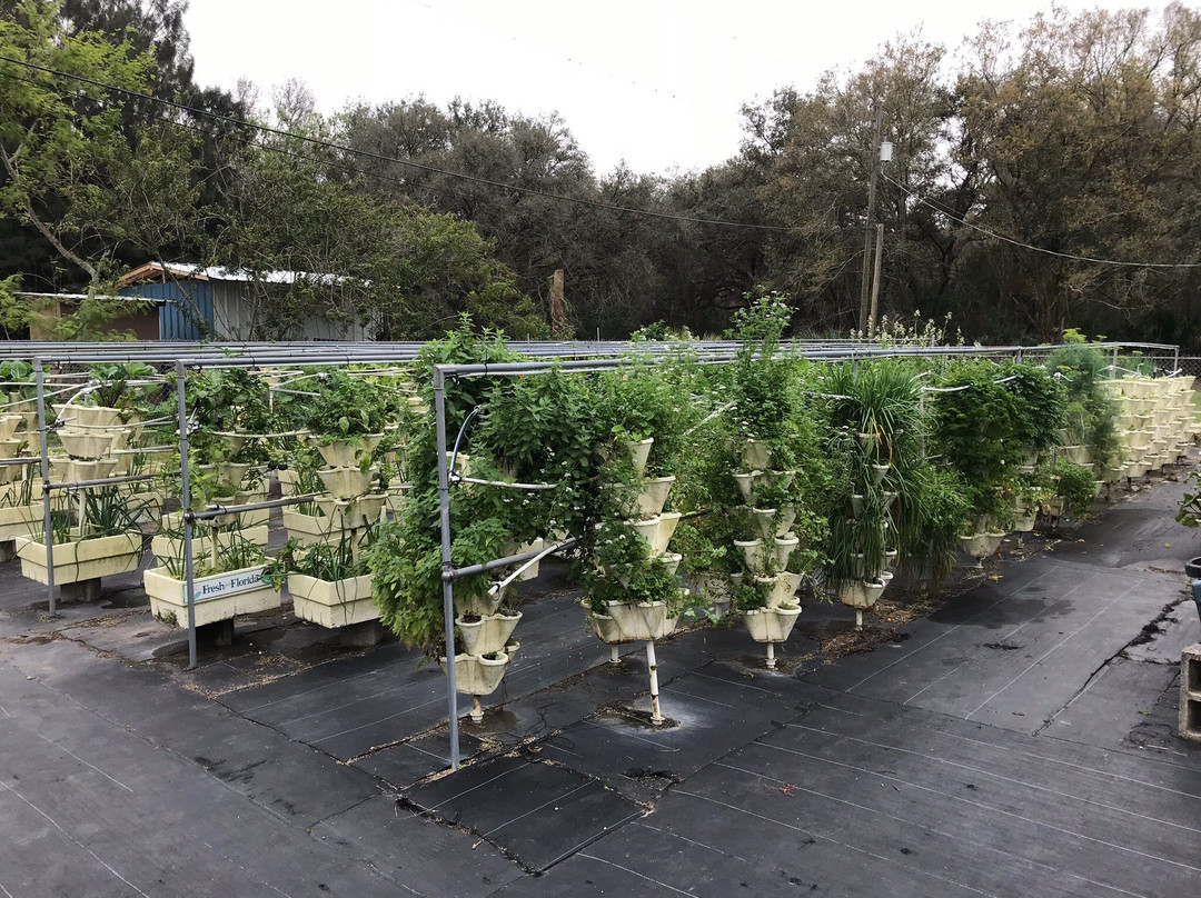 Hydro Harvest Farms-Ruskin必去景点