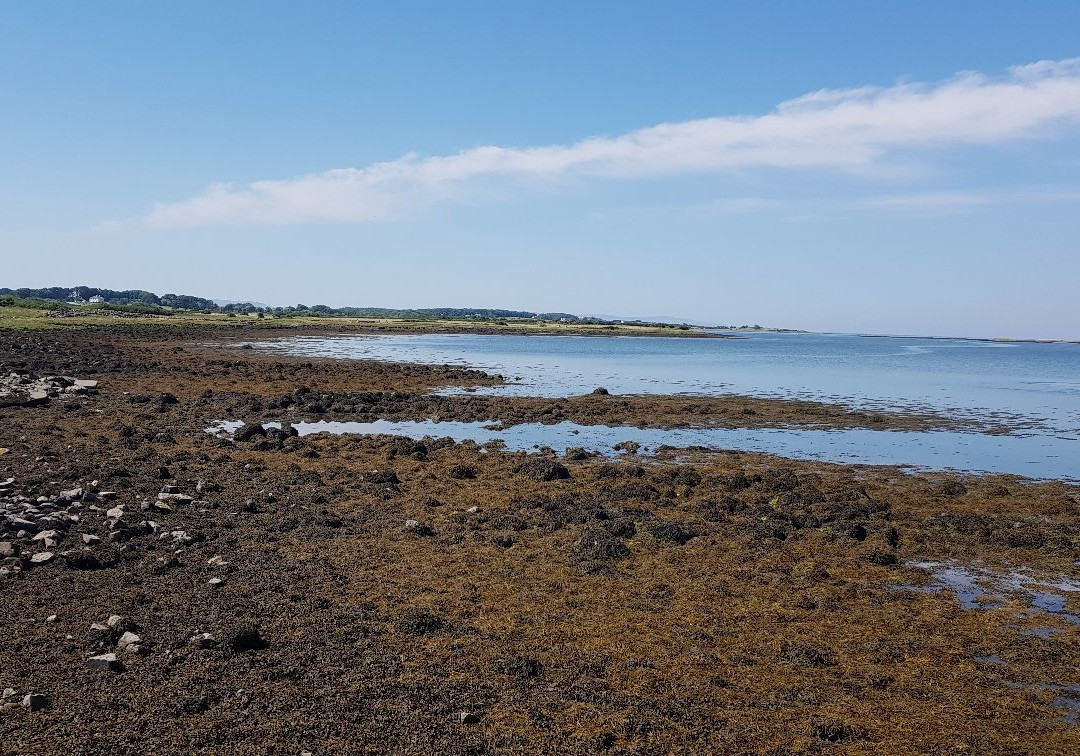Oranmore Castle景点图片