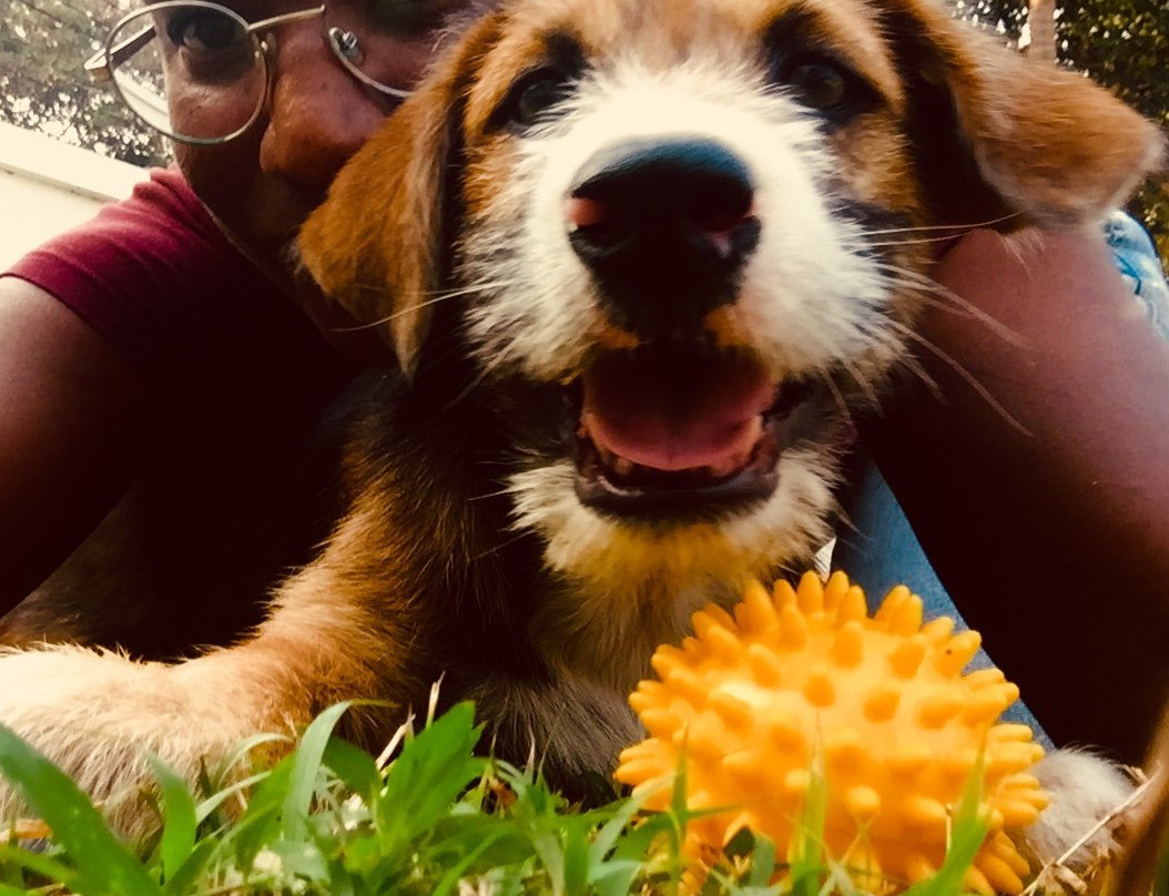 Living with The Spirit-清迈必去景点