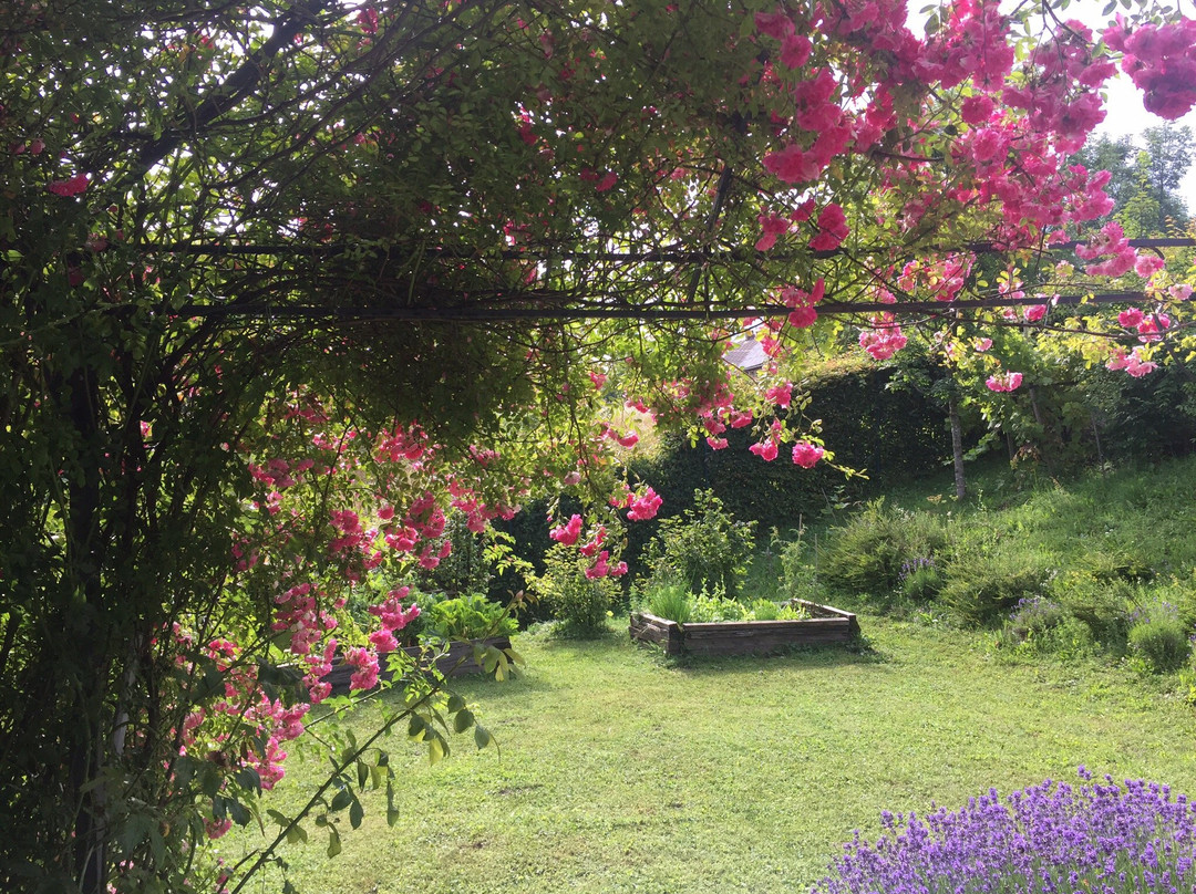 Benkovac Fuzinski旅游攻略图片