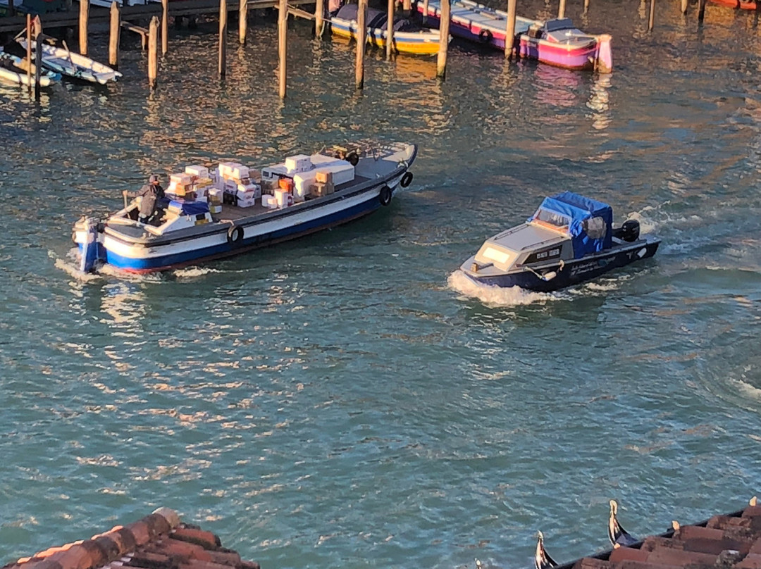 佛斯卡里宫殿酒店主图