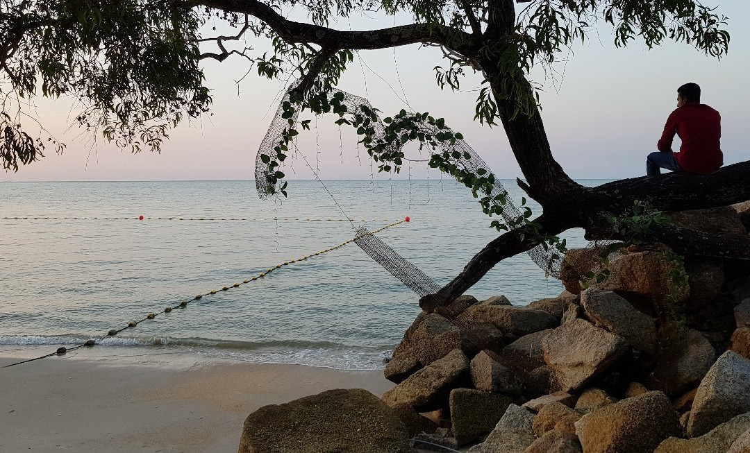 Paradise Apartment By The Sea主图