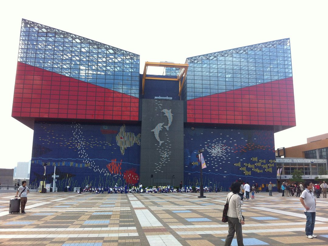 大阪水族馆景点图片