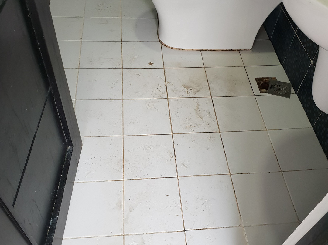 Seacoast INN BALER主图