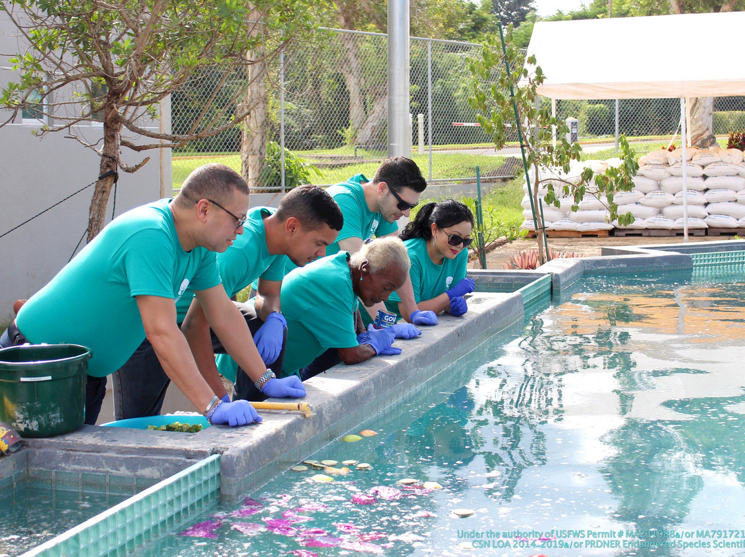Centro de Conservación de Manatíes de Puerto Rico-Bayamon必去景点