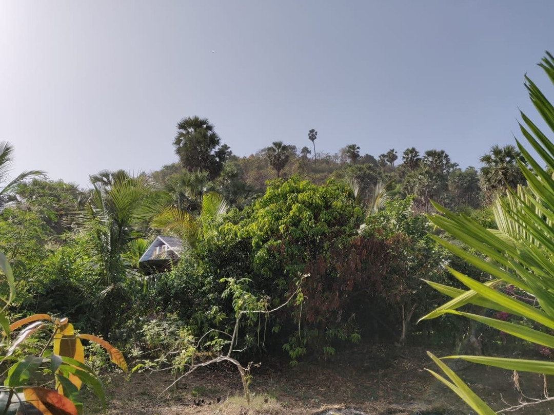 Silvanus Forest Retreat, Alibaug主图