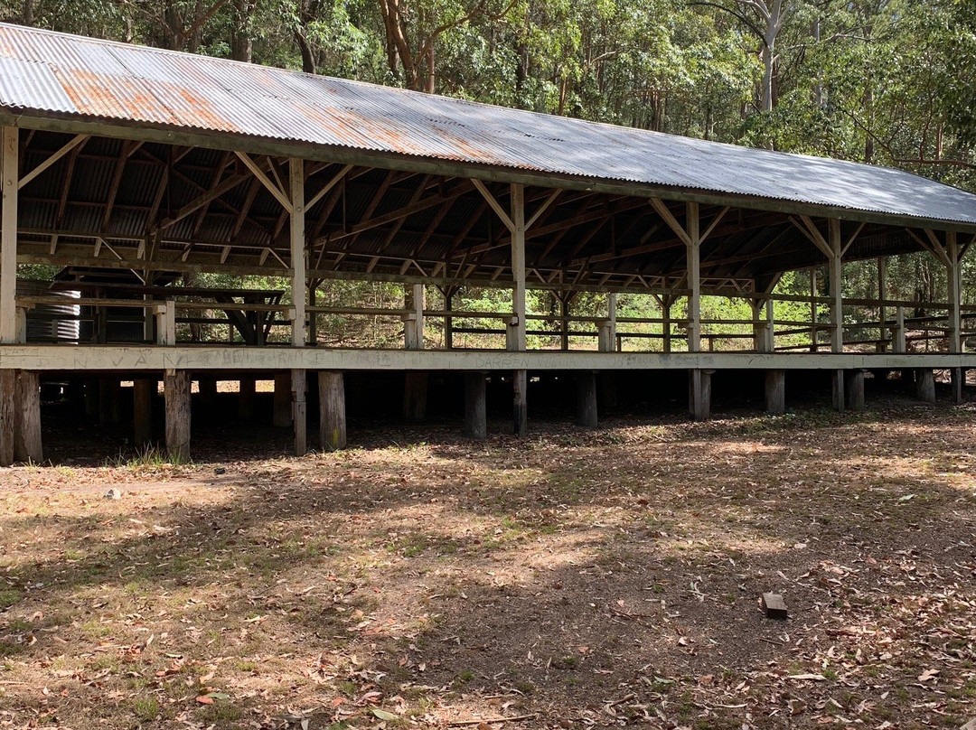 Spring Bluff Railway Station景点图片
