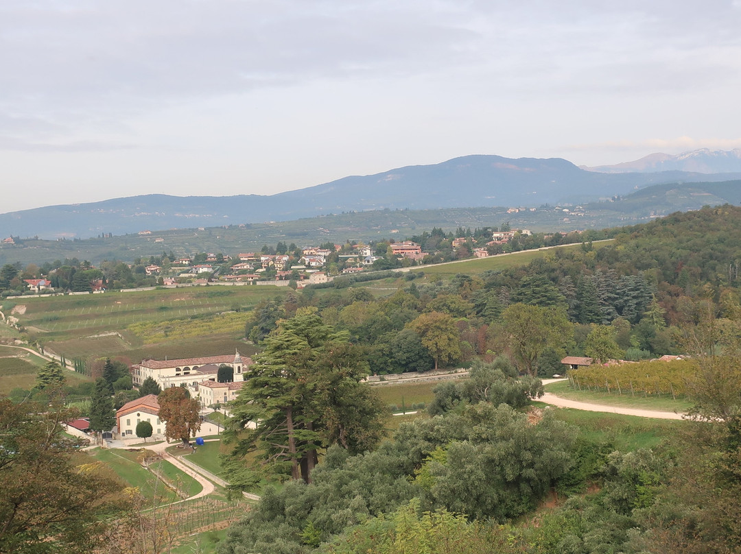 Villa Mosconi Bertani景点图片