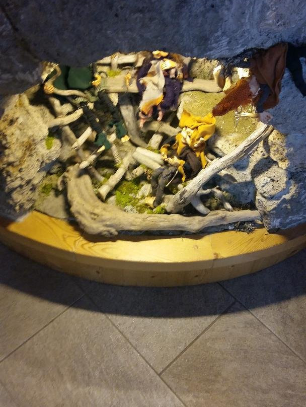 Zahre Beer景点图片