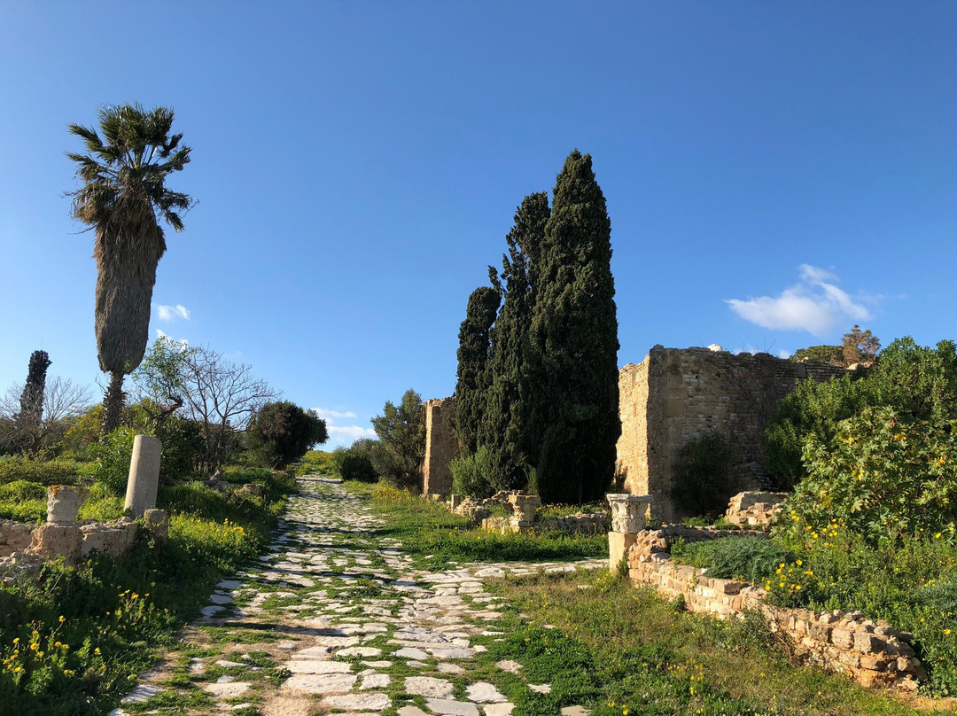 Korbous旅游景点-Villas Romaines