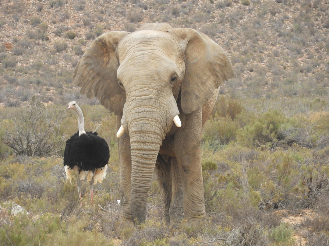 TolTours-斯特兰必去景点