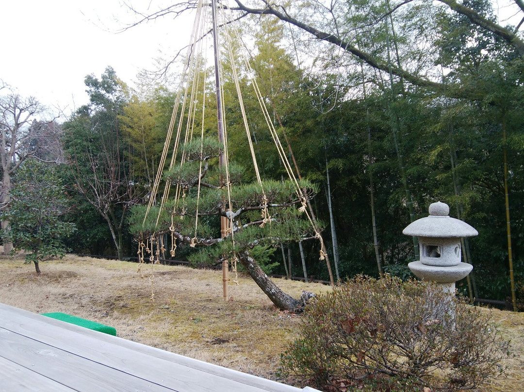 Tokigawa Shikisai Kan景点图片