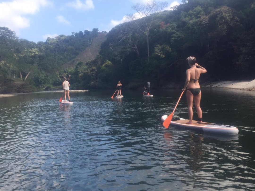 Bad Monkey-帕洛米诺必去景点