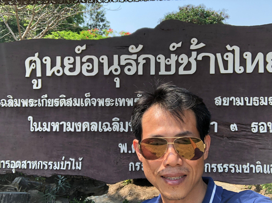 Thai Elephant Conservation Center-限察必去景点