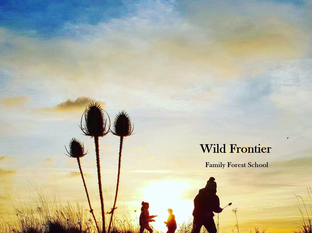 Wild Frontier Family Forest School景点图片