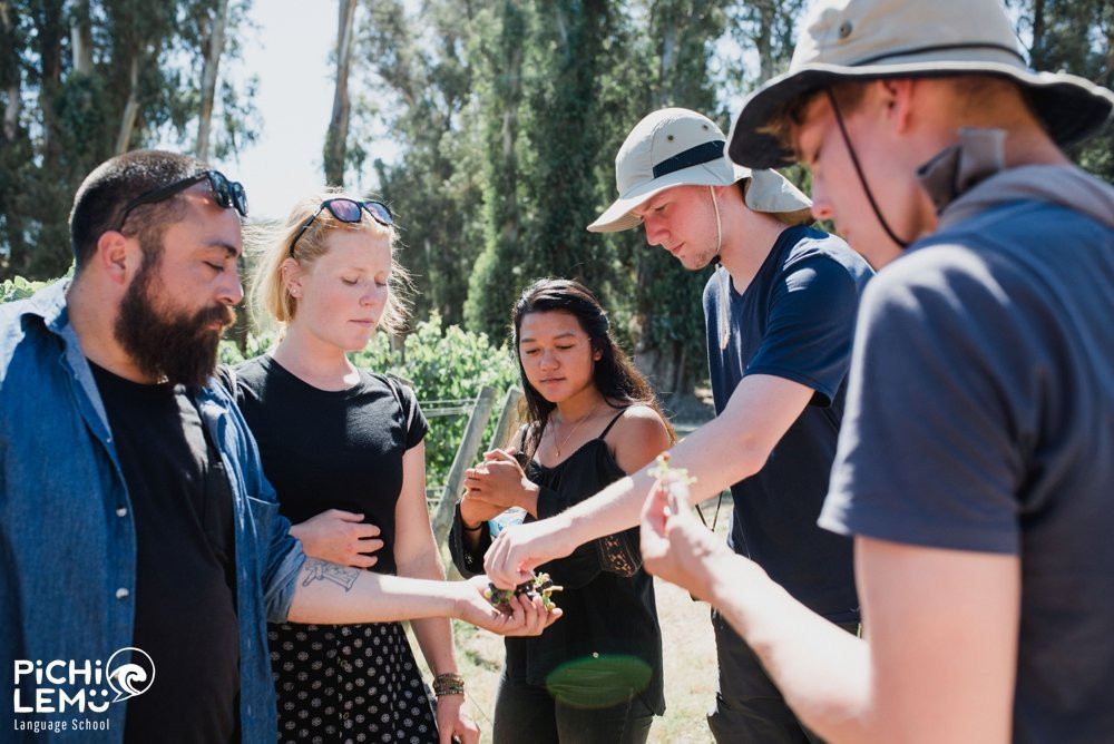 Colchagua Valley-O'Higgins Region必去景点